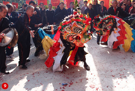 The Hakka Unicorn Dance in Hang Hau, Sai Kung