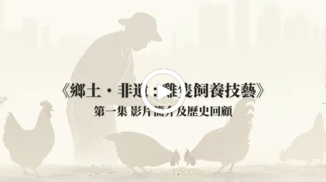 影片簡介及歷史回顧