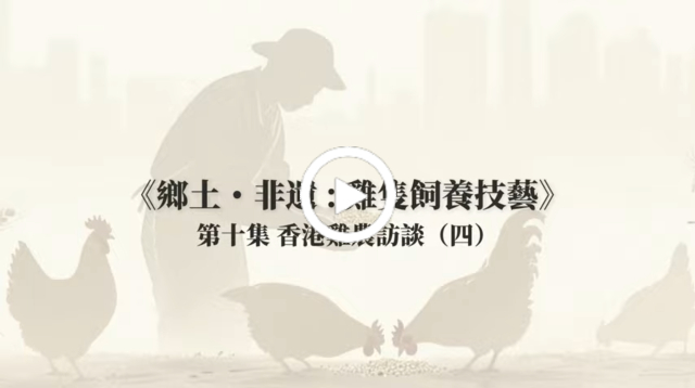 嘉美雞—郭銘祥先生