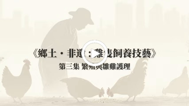 繁殖技術及雛雞護理