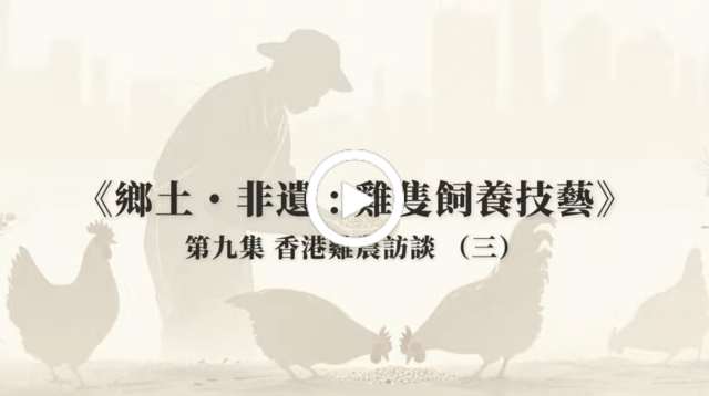 農舍雞—林懿慧女士