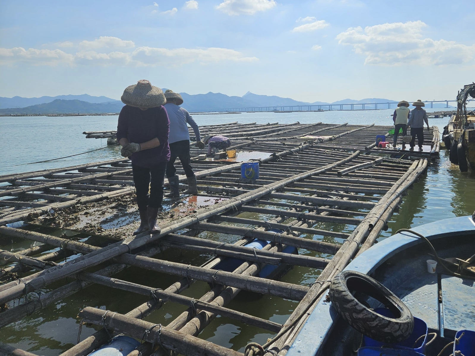 蠔鄉港情 &mdash; 探索蠔養殖技藝